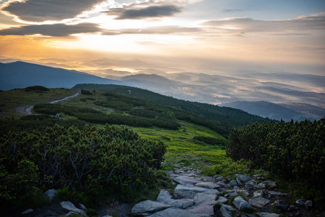 a path leading to the top of a mountain